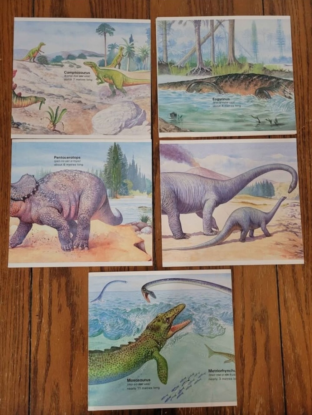 90's Dinosaur Educational Posters
